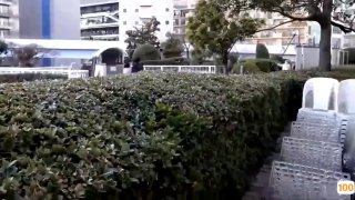 怎么查一区二区的文章㊙️➕仓鼠管家那集啪啪视频